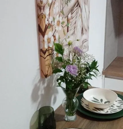 Estudio Jacuzzi Sol De Jerez Lejlighed