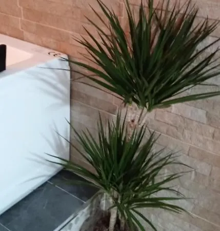 Estudio Jacuzzi Sol De Jerez Apartment