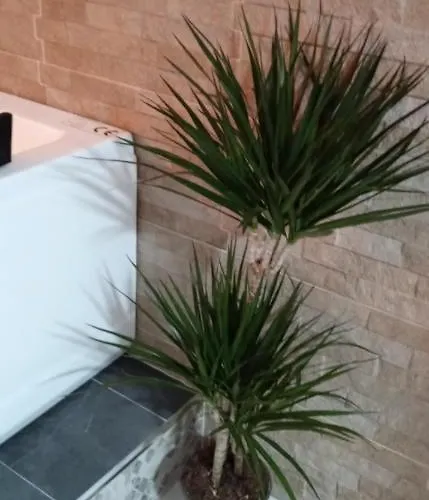 Estudio Jacuzzi Sol De Jerez Apartamento