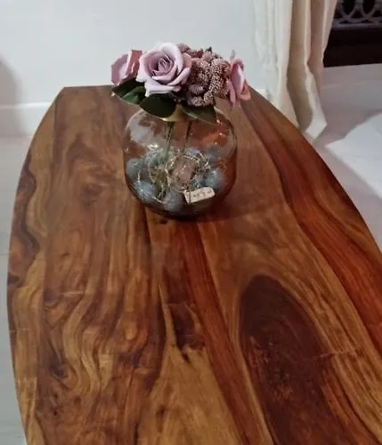 Estudio Jacuzzi Sol De Jerez Apartamento *